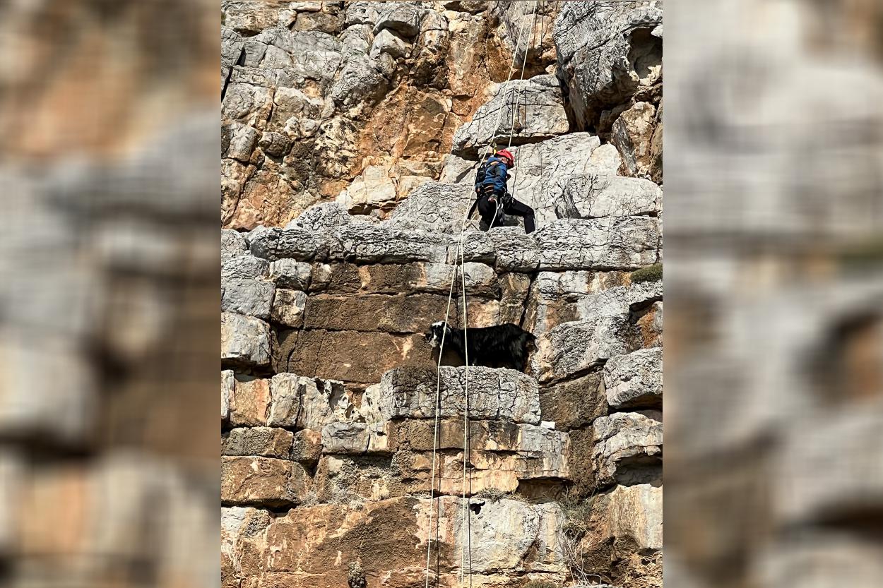 Mersin Büyükşehir İtfaiyesi’nden Nefes Kesen Operasyon