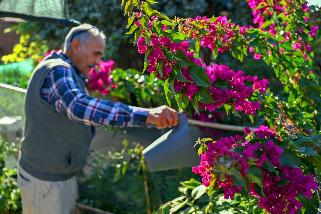Büyükşehir Hobi Parkı’nda Kış Hazırlıkları Tamamlandı