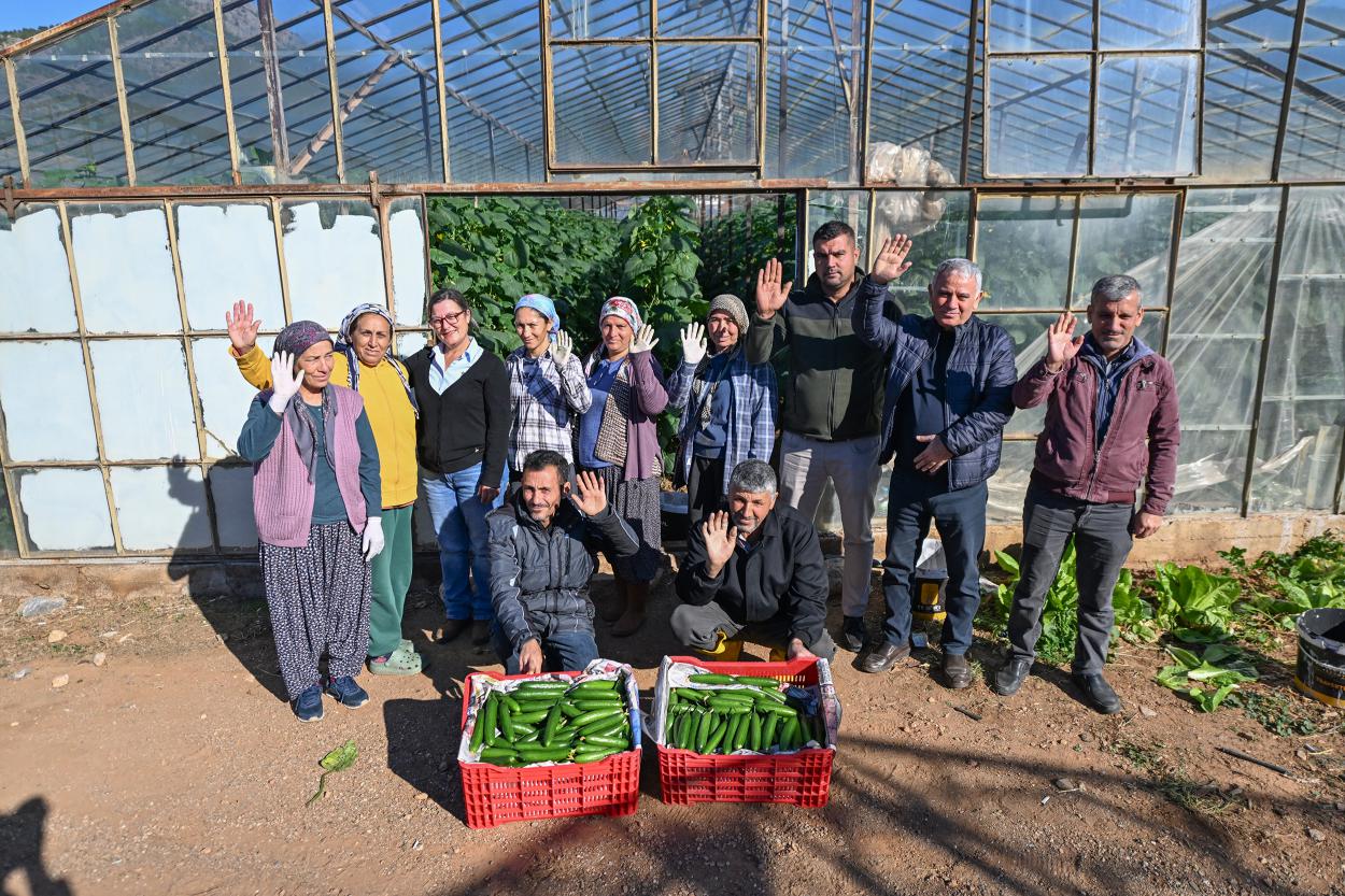 Büyükşehir’in Hıyar Fidesi Desteği Aydıncık’ta Hasada Dönüştü