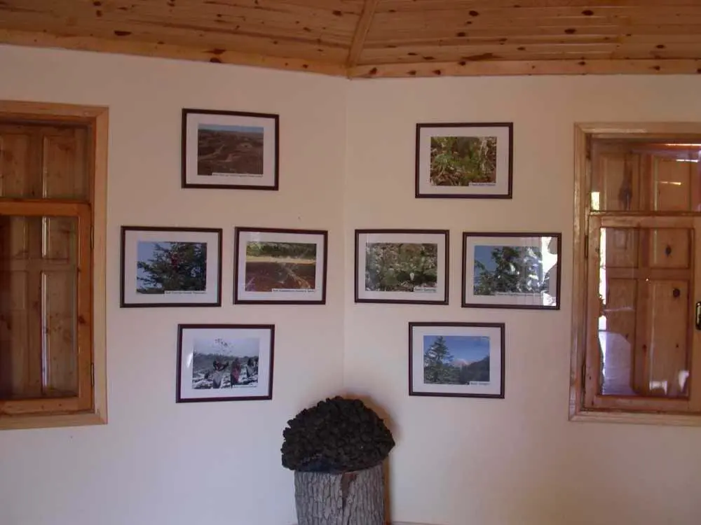 Emirler Kent Ormanı'nın girişinde bulunan ahşap müze binası ve çevresi