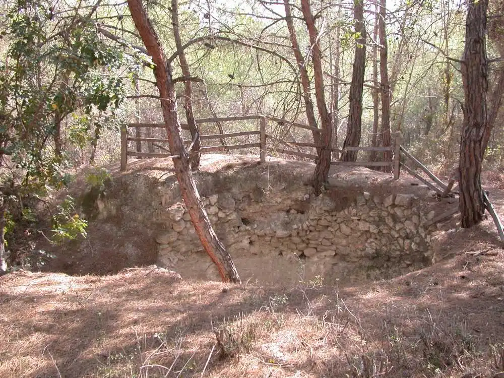 Emirler Örenyeri Ve Kent Ormanı Müzesi