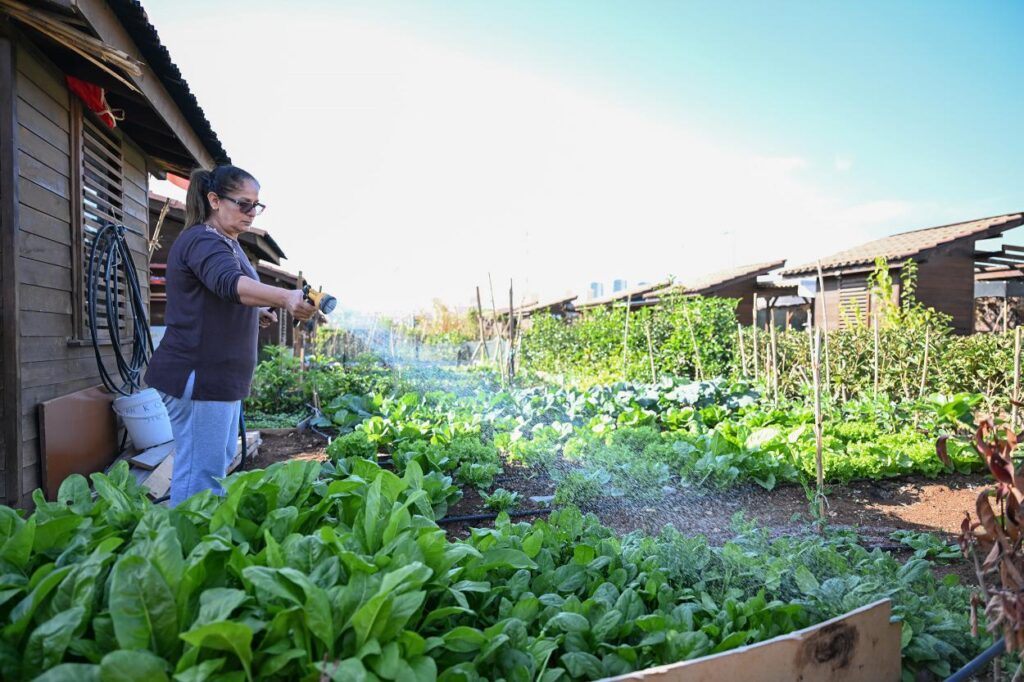 Büyükşehir Hobi Parkı’nda Kış Hazırlıkları Tamamlandı