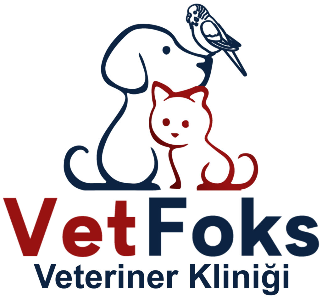 Vetfoks Veteriner Kliniği