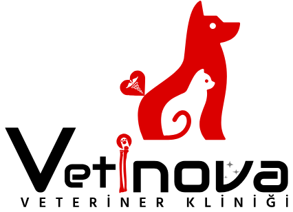 Vetinova Veteriner Kliniği