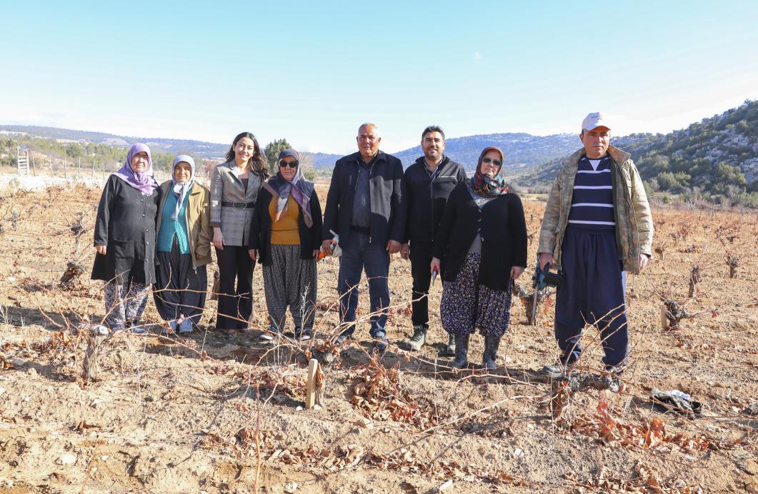 Organik Tarım Mersin Büyükşehir İle Yaygınlaşıyor