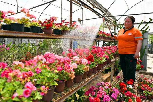 Büyükşehir Belediyesi 2025 Yılında da Kentin Yeşil Yüzünü Genişletti