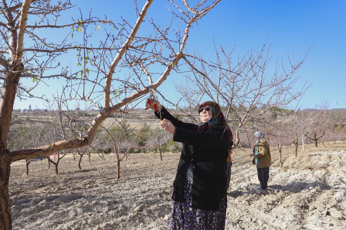 Organik Tarım Mersin Büyükşehir İle Yaygınlaşıyor