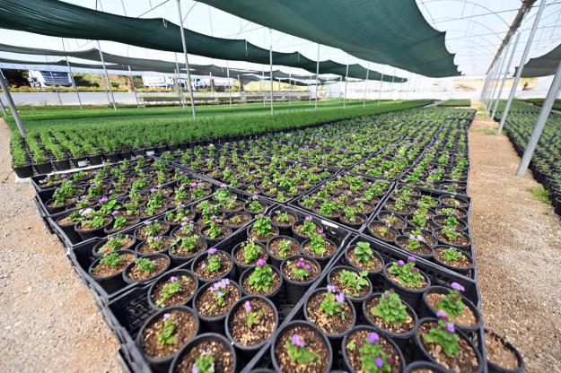 Büyükşehir Belediyesi 2025 Yılında da Kentin Yeşil Yüzünü Genişletti