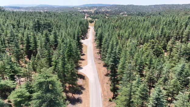 Büyükşehir 2025 Yılında Mersin’i Güçlü Bir Ulaşım Altyapısına Kavuşturdu