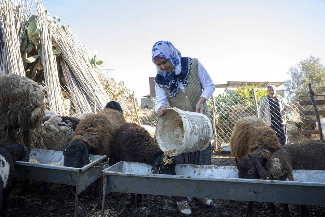 Büyükşehir ‘Hadi Gel Köyümüze Destek Verelim’ Projesi İle Kırsal Kalkınmaya Destek Oluyor