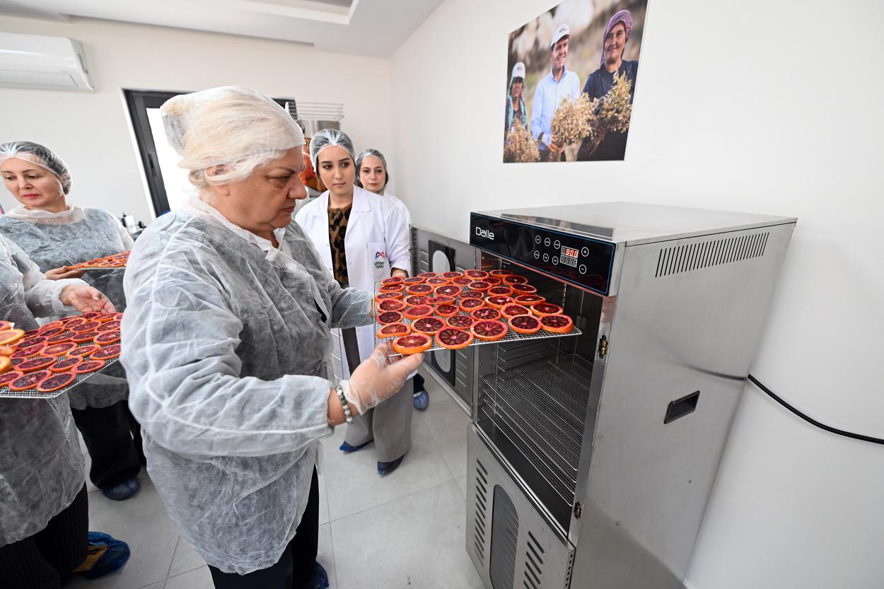 Mersin Büyükşehir Coğrafi İşaretli Kan Portakalı’nı Kadın Emeği ile Geleceğe Taşıyor