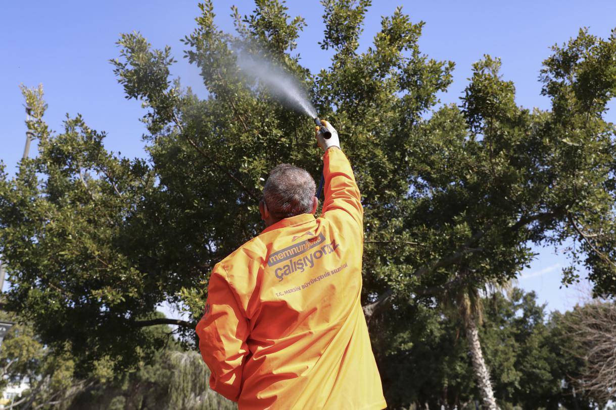 Mersin Büyükşehir’in İlaçlama Ekipleri Kent Genelinde Haşere Mücadelesini Sürdürüyor