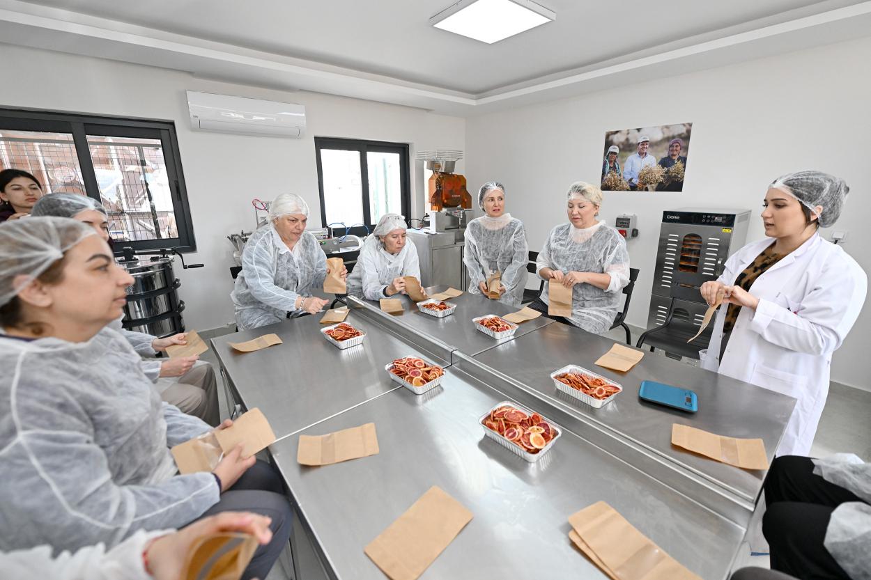 Mersin Büyükşehir Coğrafi İşaretli Kan Portakalı’nı Kadın Emeği ile Geleceğe Taşıyor