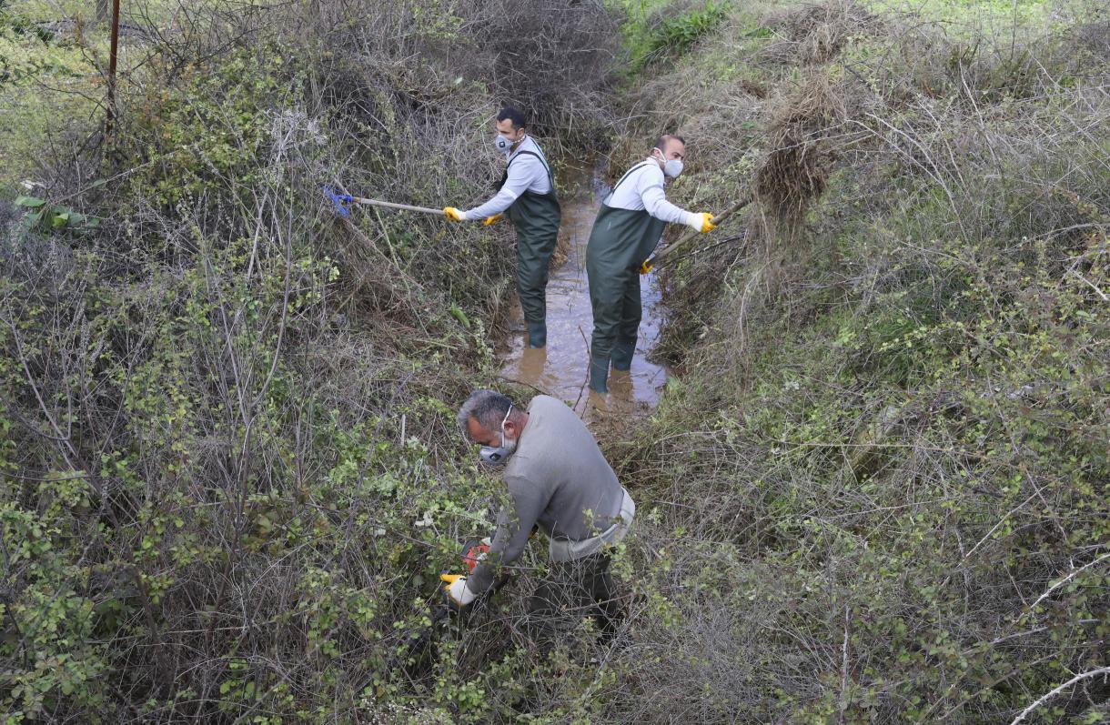 Mersin Büyükşehir’in İlaçlama Ekipleri Kent Genelinde Haşere Mücadelesini Sürdürüyor