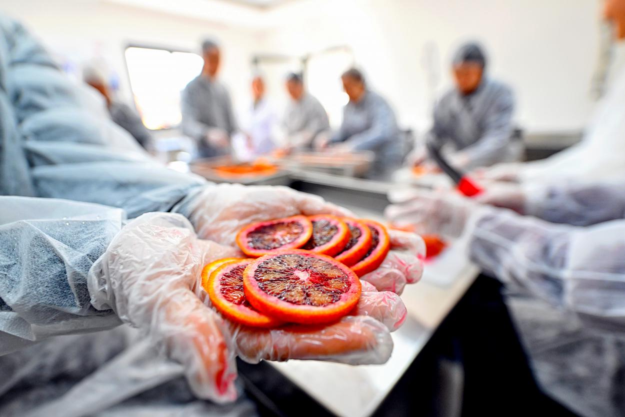 Mersin Büyükşehir Coğrafi İşaretli Kan Portakalı’nı Kadın Emeği ile Geleceğe Taşıyor