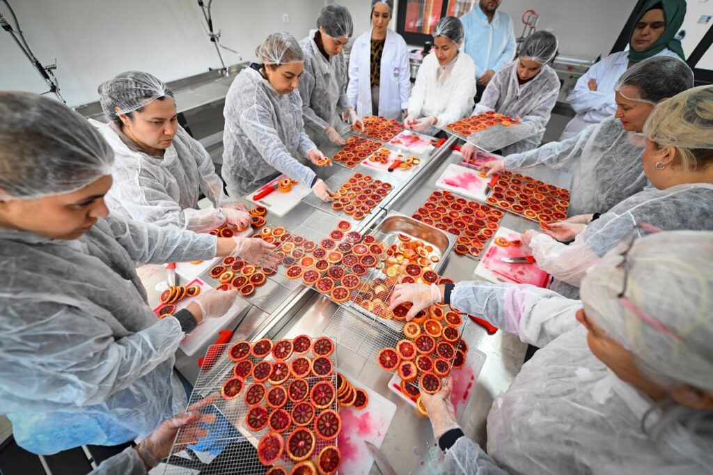 Mersin Büyükşehir Coğrafi İşaretli Kan Portakalı’nı Kadın Emeği ile Geleceğe Taşıyor