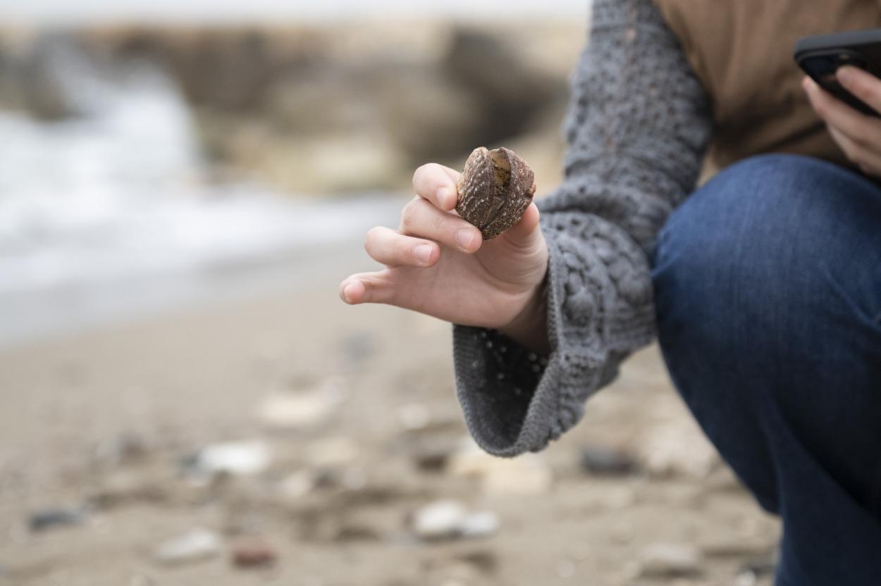 Mersin Büyükşehir MINKA Projesi İle Gençleri Bilimsel Veri Toplamaya Teşvik Ediyor