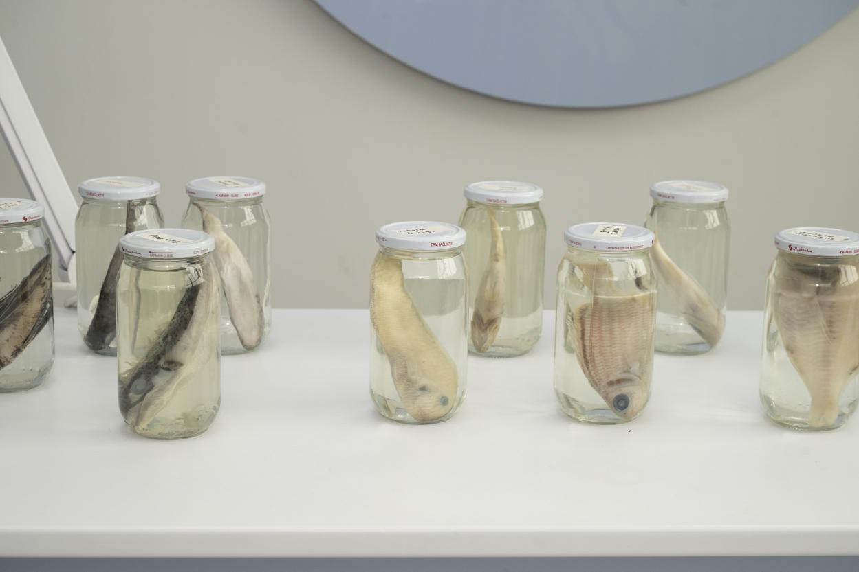 Mersin Büyükşehir MINKA Projesi İle Gençleri Bilimsel Veri Toplamaya Teşvik Ediyor