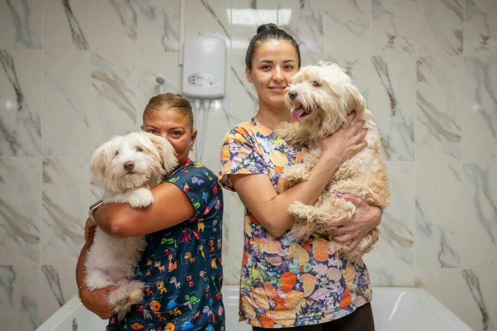 Kaşlı Bakımevi’nde Patili Dostlara Bakım Desteği